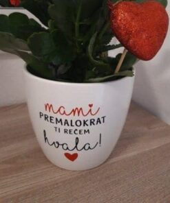 Cvetlični lončki - ročno potiskan po vaših željah