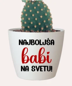 Cvetlični lonček - Najboljša mami, babi, žena