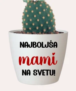 Cvetlični lonček - Najboljša mami