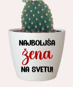 Cvetlični lonček - Najboljša žena