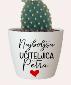 Cvetlični lonček - Najboljša vzgojiteljica - učiteljica1