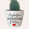 Cvetlični lonček - Najboljša vzgojiteljica - učiteljica