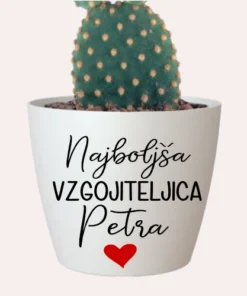 Cvetlični lonček - Najboljša vzgojiteljica - učiteljica