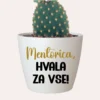Cvetlični lonček - Mentorica - hvala za vse