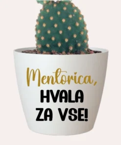 Cvetlični lonček - Mentorica - hvala za vse