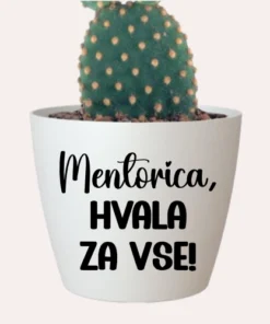 Cvetlični lonček - Mentorica - hvala za vse1