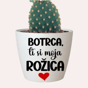 CVETLIČNI LONČEK - botrca-ti-si-moja-rožica